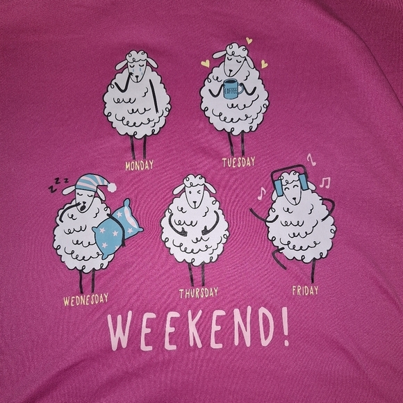 A Secret Treasures pink sleep shirt in a size L/XL with 2 pockets on front. - Picture 3 of 5